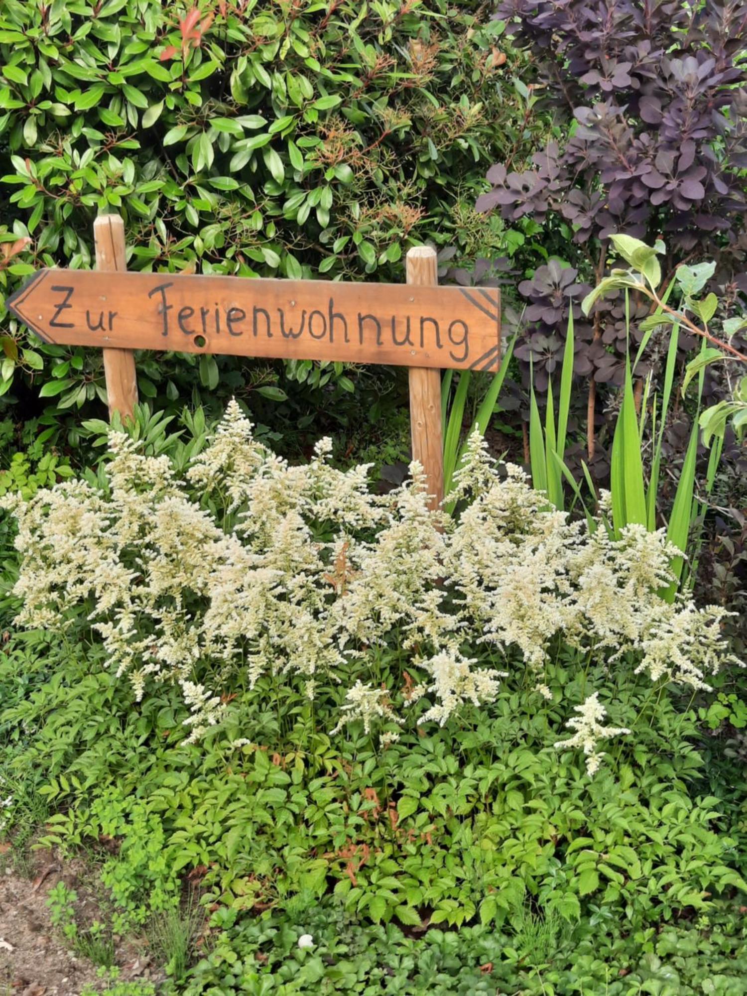 Ferienwohnung Van Den Berg Rees Bagian luar foto